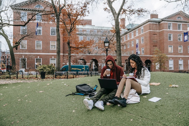 Boy Studying In the Park