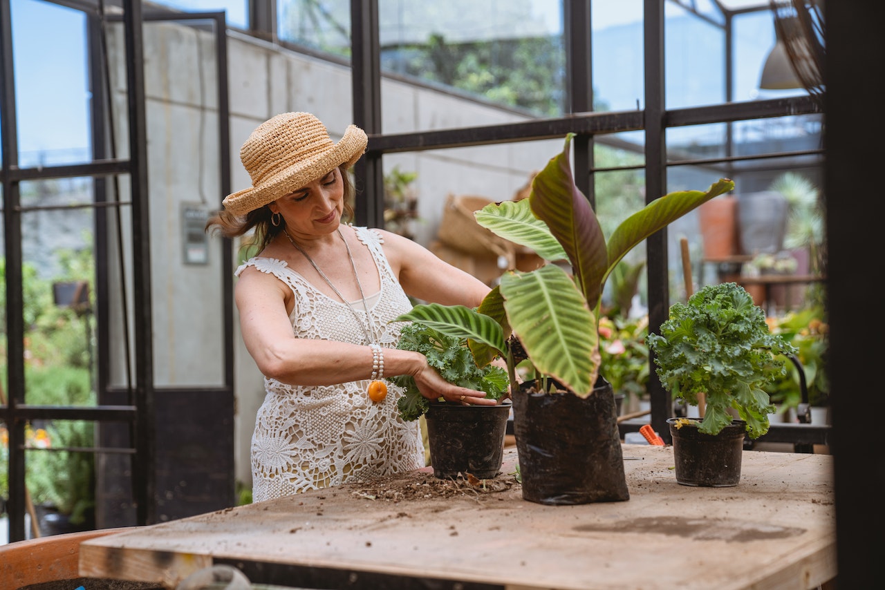 woman with plant