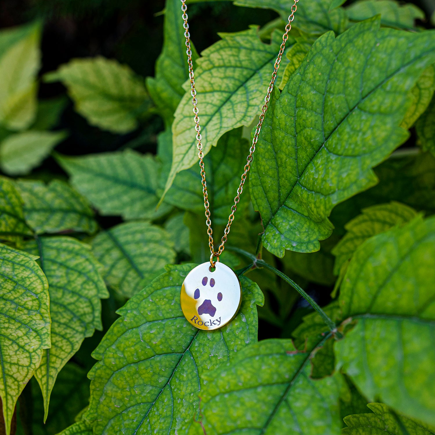 Custom Necklace Pet Paw 